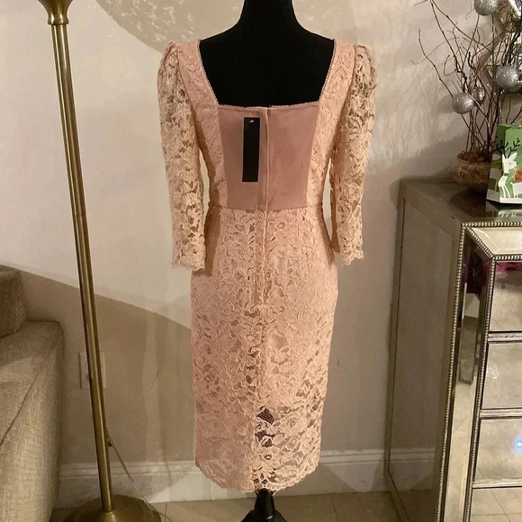 𝅺ARROGANT cat lace dress size S NWT - Picture 5 of 8